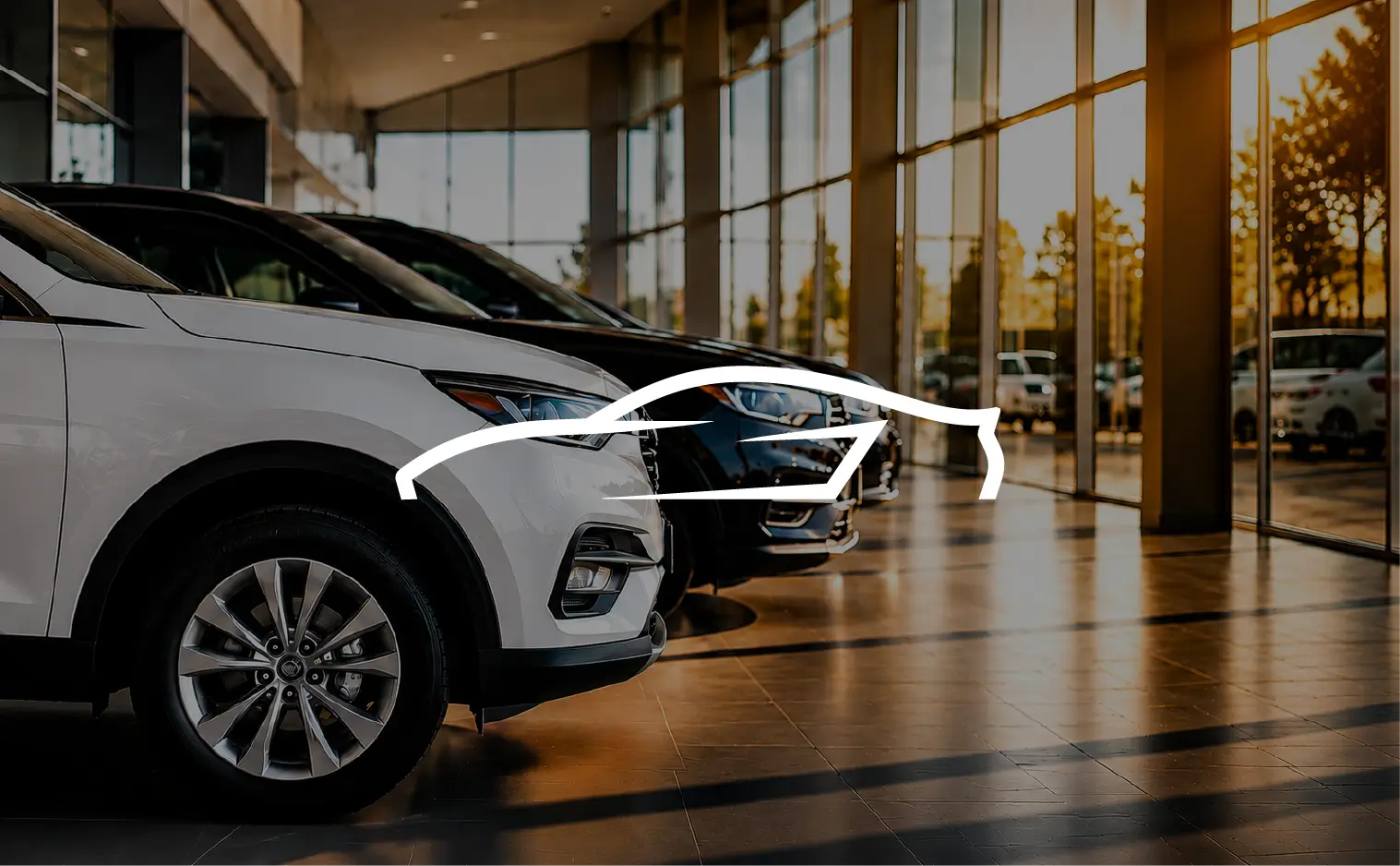Regional premium auto dealer