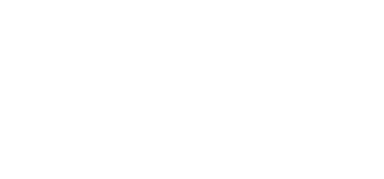 Boscov's logo